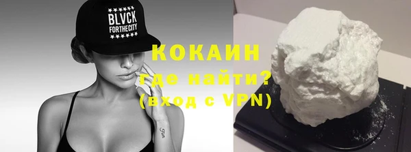 мдпв Бородино