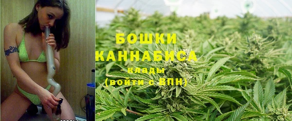 тгк Богородицк