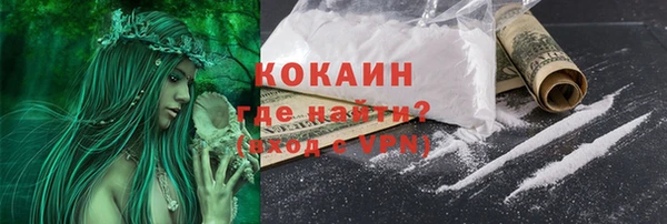 тгк Богородицк