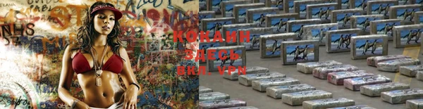 кокаин колумбия Богданович
