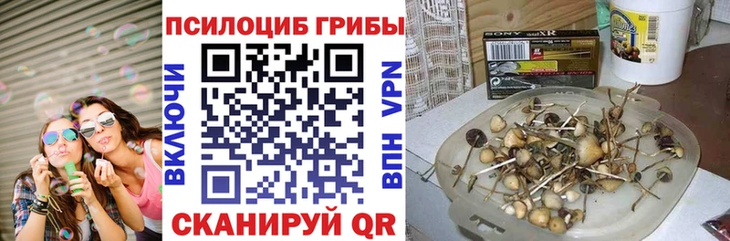 Галлюциногенные грибы Psilocybine cubensis  даркнет наркотические препараты  Белоозёрский 